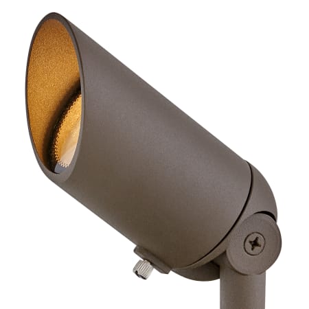 A large image of the Hinkley Lighting H1536 Textured Brown