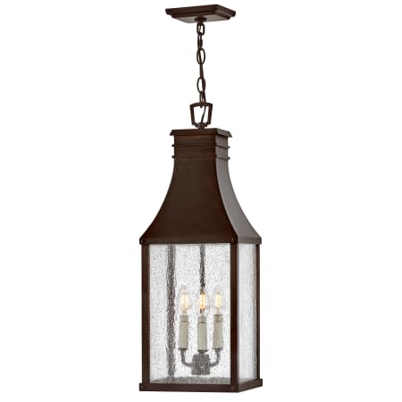 A large image of the Hinkley Lighting 17462 Pendant with Canopy - BLC