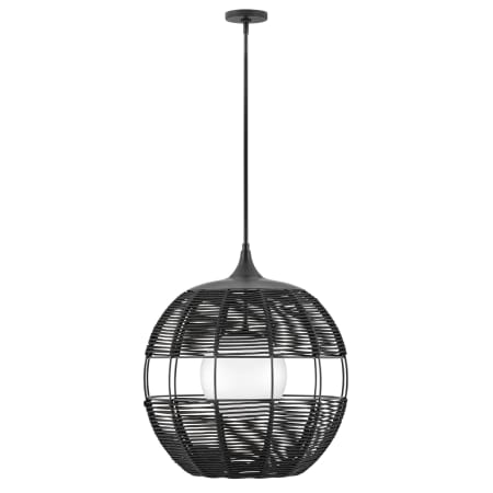 A large image of the Hinkley Lighting 19675 Pendant with Canopy