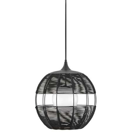 A large image of the Hinkley Lighting 19675 Black