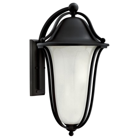 A large image of the Hinkley Lighting H2639 Black