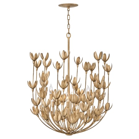 A large image of the Hinkley Lighting 30016 Chandelier with Canopy - BNG