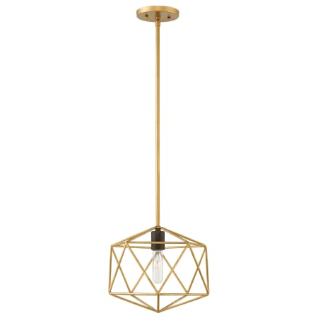 A large image of the Hinkley Lighting 3027 Pendant with Canopy - DG