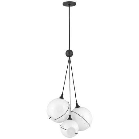 A large image of the Hinkley Lighting 30304 Pendant with Canopy - BLK