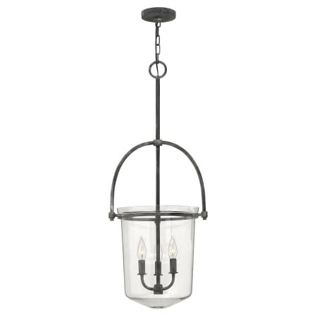 A large image of the Hinkley Lighting 3033 Pendant with Canopy - DZ