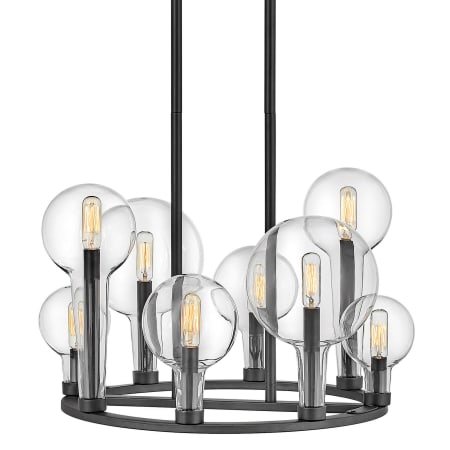 A large image of the Hinkley Lighting 30526 Black
