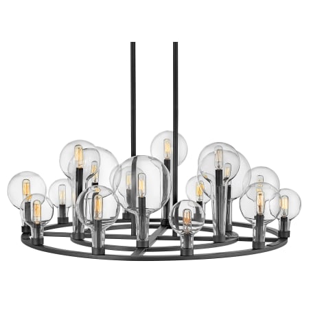 A large image of the Hinkley Lighting 30529 Black