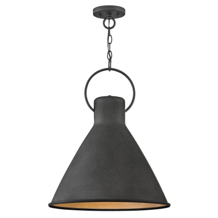 A large image of the Hinkley Lighting 3555 Pendant with Canopy - DZ