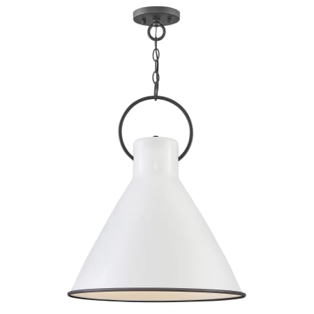 A large image of the Hinkley Lighting 3555 Pendant with Canopy - PT