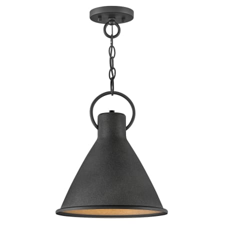 A large image of the Hinkley Lighting 3557 Pendant with Canopy - DZ