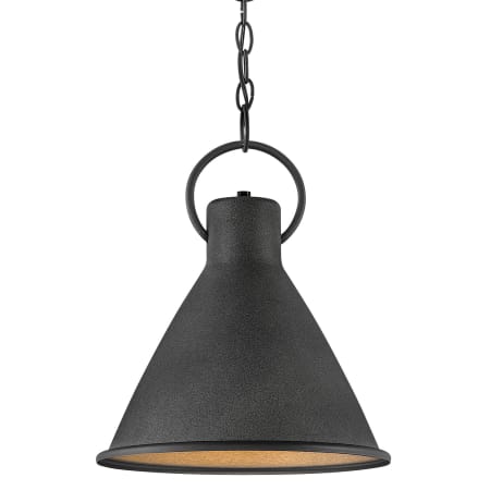 A large image of the Hinkley Lighting 3555 Aged Zinc / Distressed Black