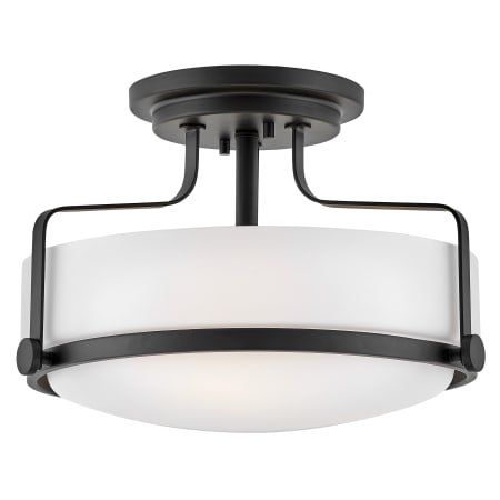 A large image of the Hinkley Lighting 3641 Black
