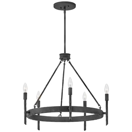 A large image of the Hinkley Lighting 3675 Chandelier with Canopy - FE