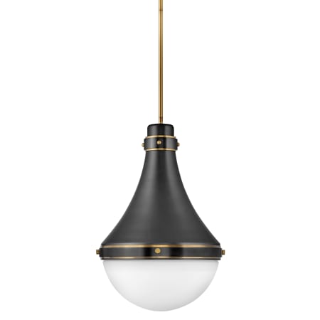 A large image of the Hinkley Lighting 39054 Black