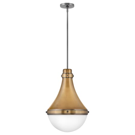 A large image of the Hinkley Lighting 39054 Pendant with Canopy - HB