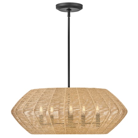 A large image of the Hinkley Lighting 40384 Pendant with Canopy - BLK-CML