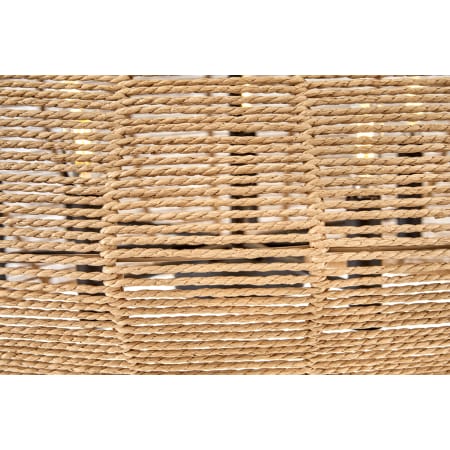 A large image of the Hinkley Lighting 40384 Rattan