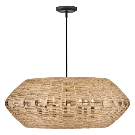 A large image of the Hinkley Lighting 40385 Pendant with Canopy - BLK-CML