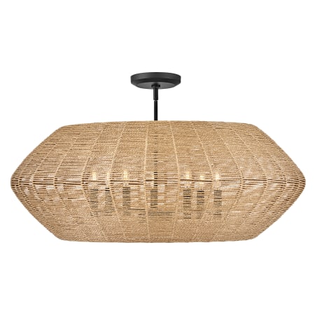 A large image of the Hinkley Lighting 40385 Pendant with Canopy - BLK-CML