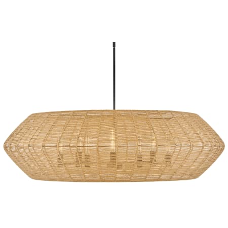 A large image of the Hinkley Lighting 40386 Black / Camel