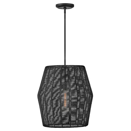 A large image of the Hinkley Lighting 40387 Pendant with Canopy - BLK