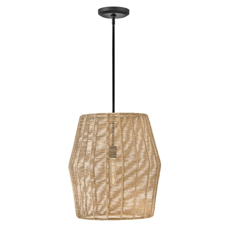 A large image of the Hinkley Lighting 40387 Pendant with Canopy - BLK- CML