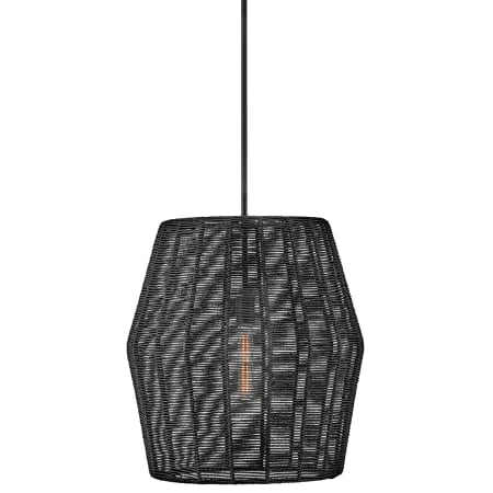 A large image of the Hinkley Lighting 40387 Black