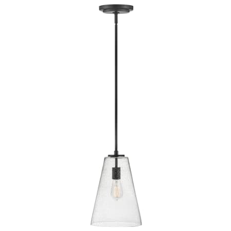 A large image of the Hinkley Lighting 41044 Pendant with Canopy - SK