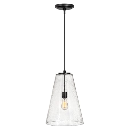 A large image of the Hinkley Lighting 41047 Pendant with Canopy - SK
