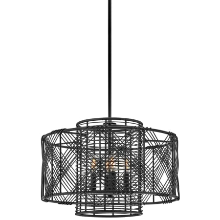 A large image of the Hinkley Lighting 41063 Black