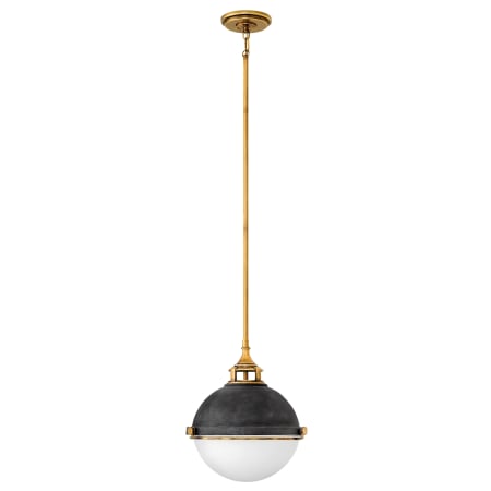 A large image of the Hinkley Lighting 4834 Pendant with Canopy - DZ