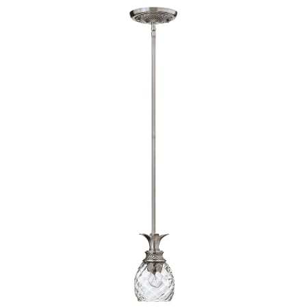 A large image of the Hinkley Lighting H5317 Pendant with Canopy - PL