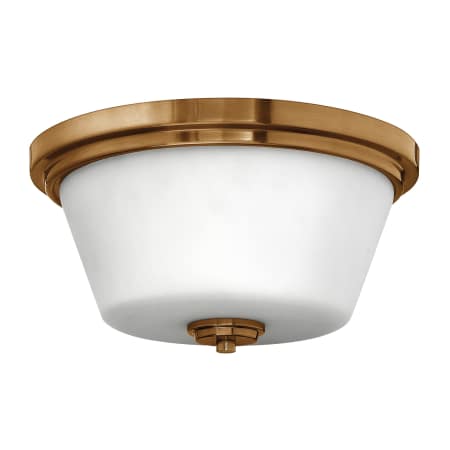 A large image of the Hinkley Lighting H5551 Brushed Bronze