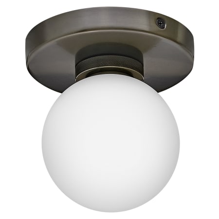 A large image of the Hinkley Lighting 56050-LL Flush Ceiling - BX
