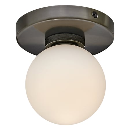 A large image of the Hinkley Lighting 56050-LL Ceiling Light - BX