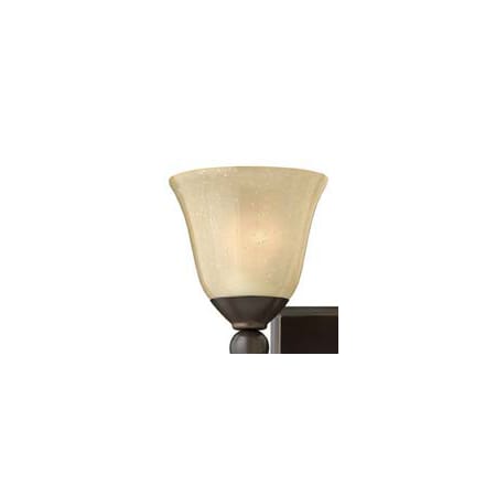 A large image of the Hinkley Lighting R5892SDY Seedy Champagne