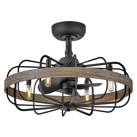 A large image of the Hinkley Lighting 905022F-LIA Matte Black / Driftwood