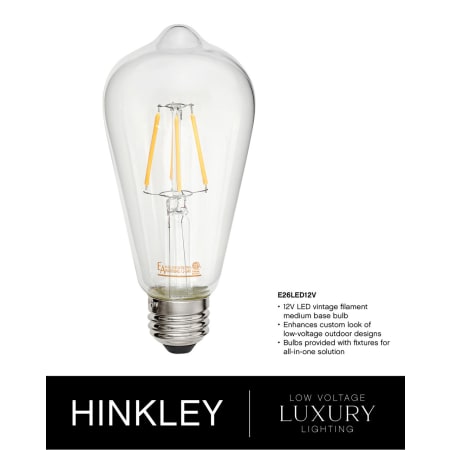 A large image of the Hinkley Lighting 1001-LV Alternate Image
