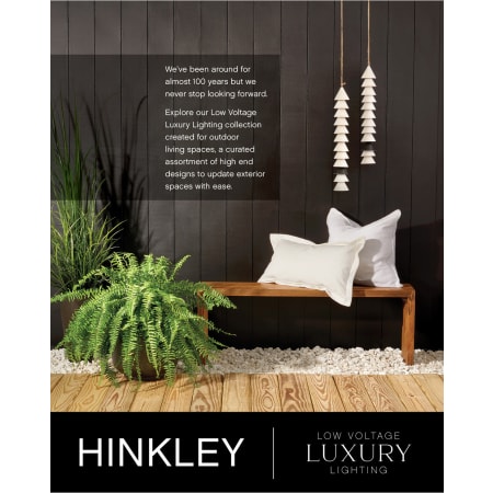A large image of the Hinkley Lighting 1001-LV Alternate Image
