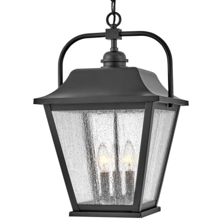 A large image of the Hinkley Lighting 10012 Black