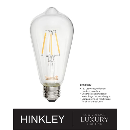 A large image of the Hinkley Lighting 1007-LV Alternate Image