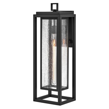 A large image of the Hinkley Lighting 1009 Black
