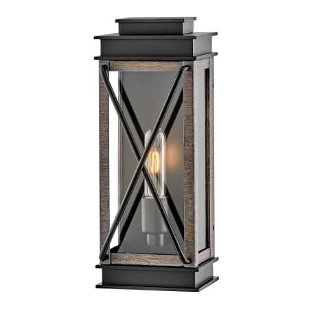 A large image of the Hinkley Lighting 11190 Black