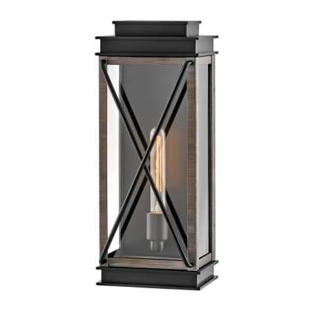 A large image of the Hinkley Lighting 11194 Black