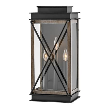 A large image of the Hinkley Lighting 11195 Black
