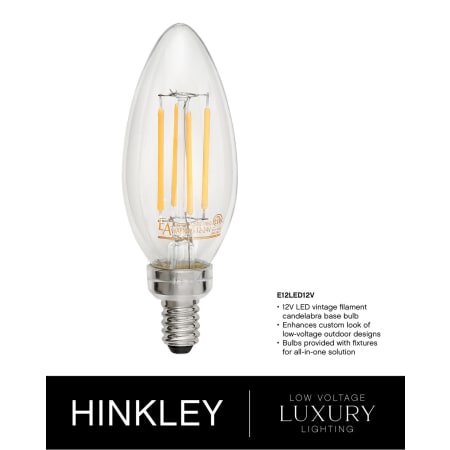 A large image of the Hinkley Lighting 1187-LV Alternate Image