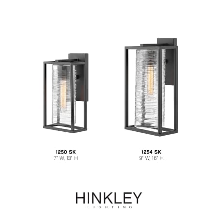 A large image of the Hinkley Lighting 1254 Alternate Image