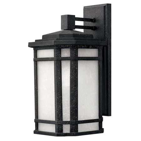 A large image of the Hinkley Lighting H1274 Vintage Black