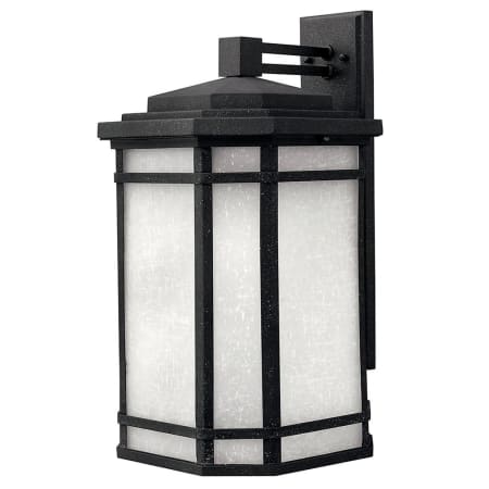 A large image of the Hinkley Lighting H1275 Vintage Black