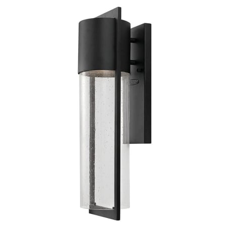 A large image of the Hinkley Lighting 1324 Black